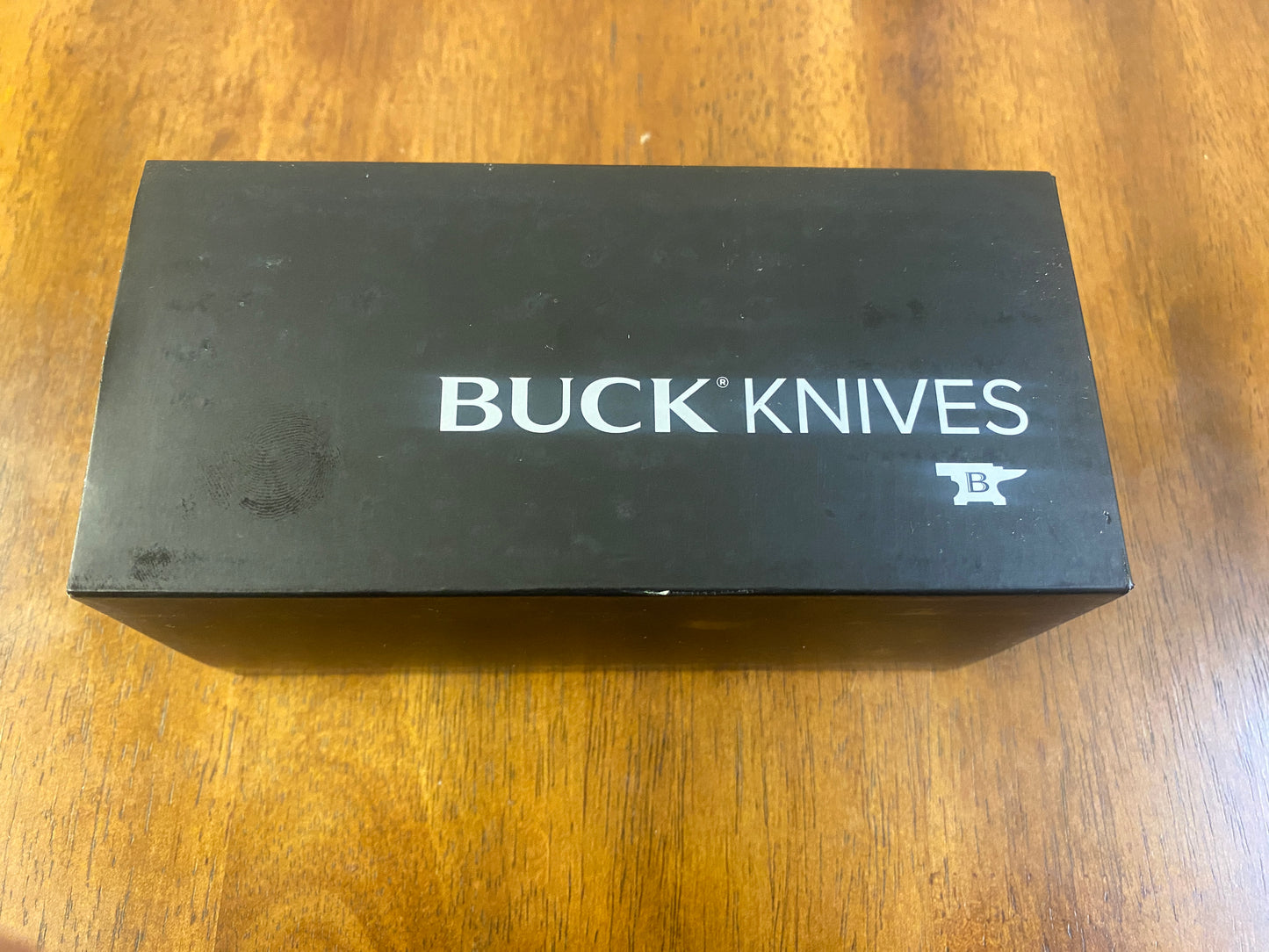 Buck 110 Auto Pocket Knife