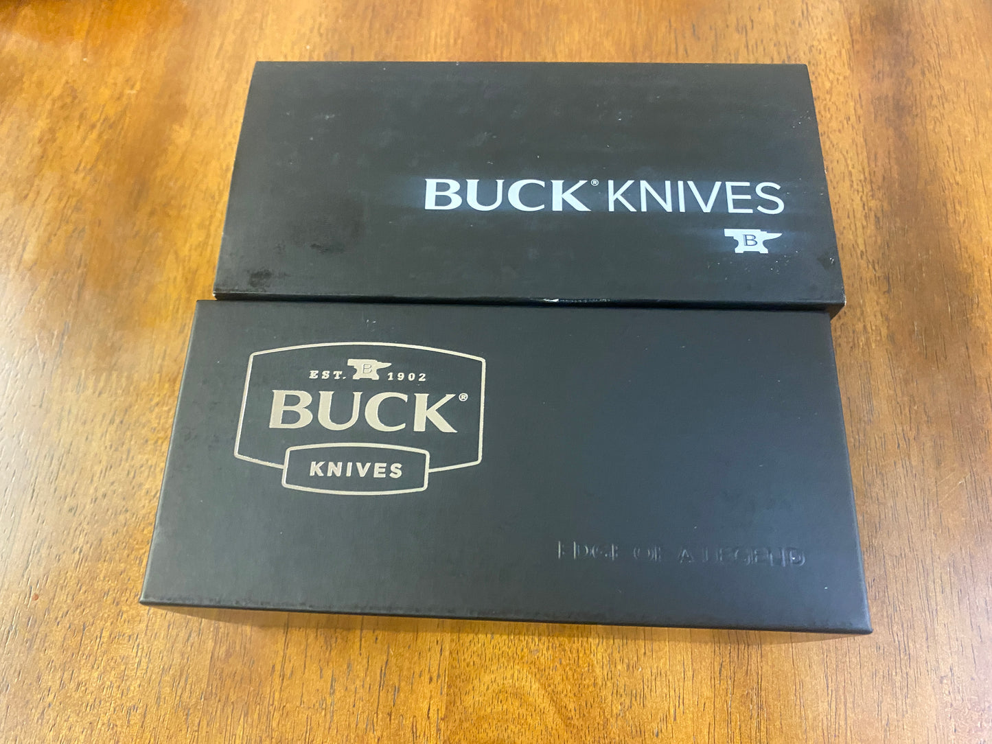 Buck 110 Auto Pocket Knife