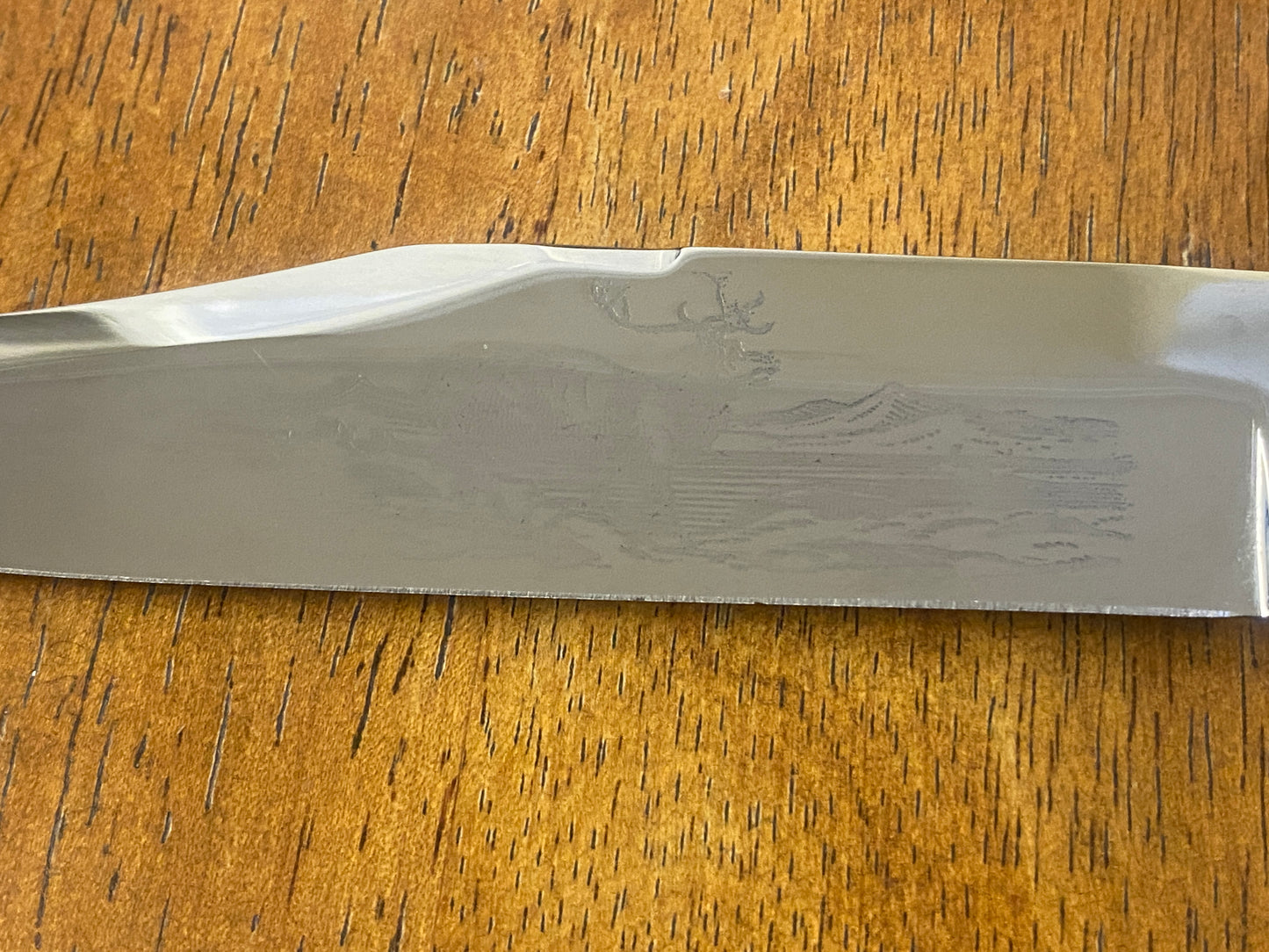 Venture Small Bowie Sheath Knife