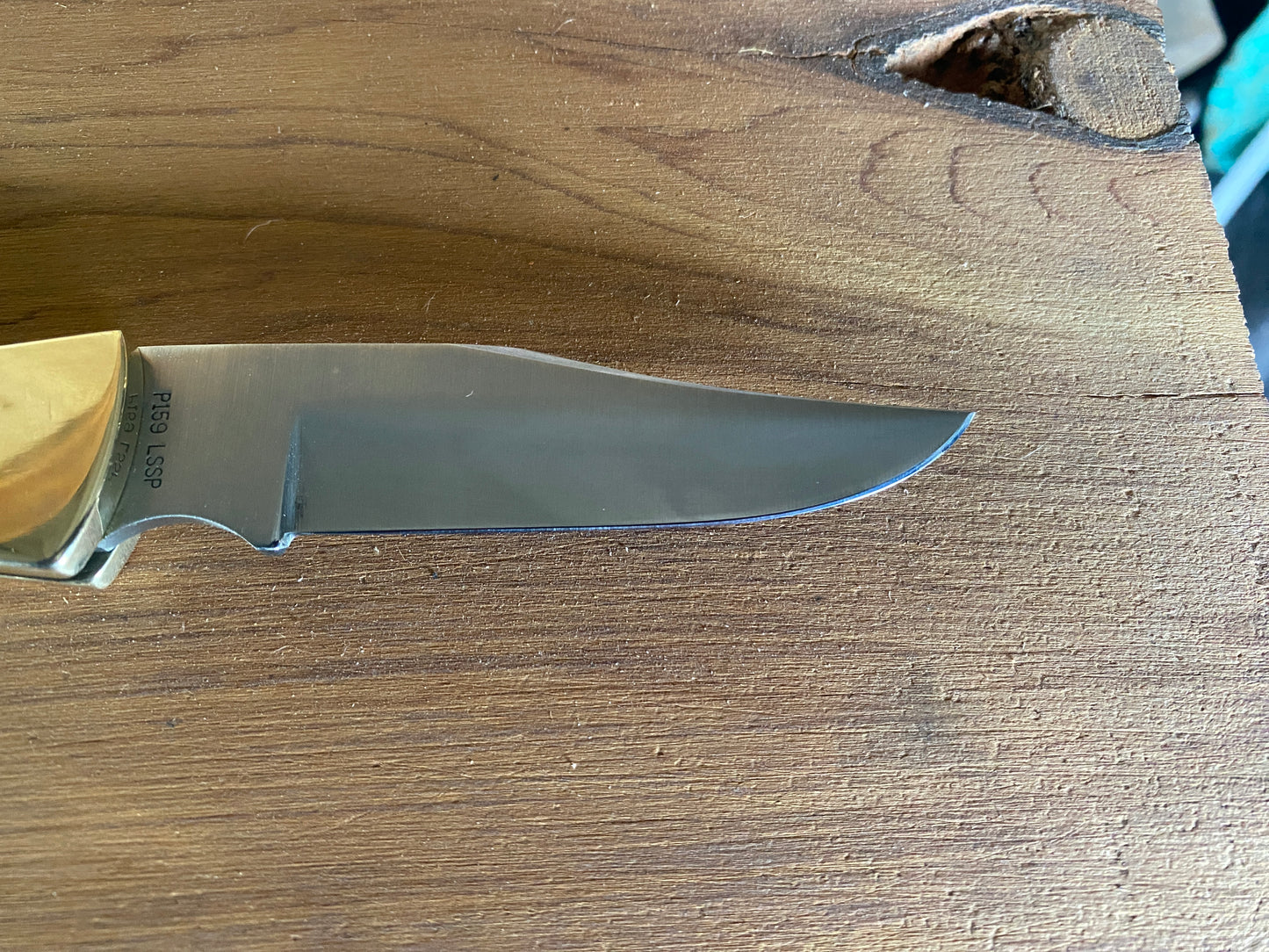 Case XX P159 LSSP 3 Dot Hammerhead Pocket Knife